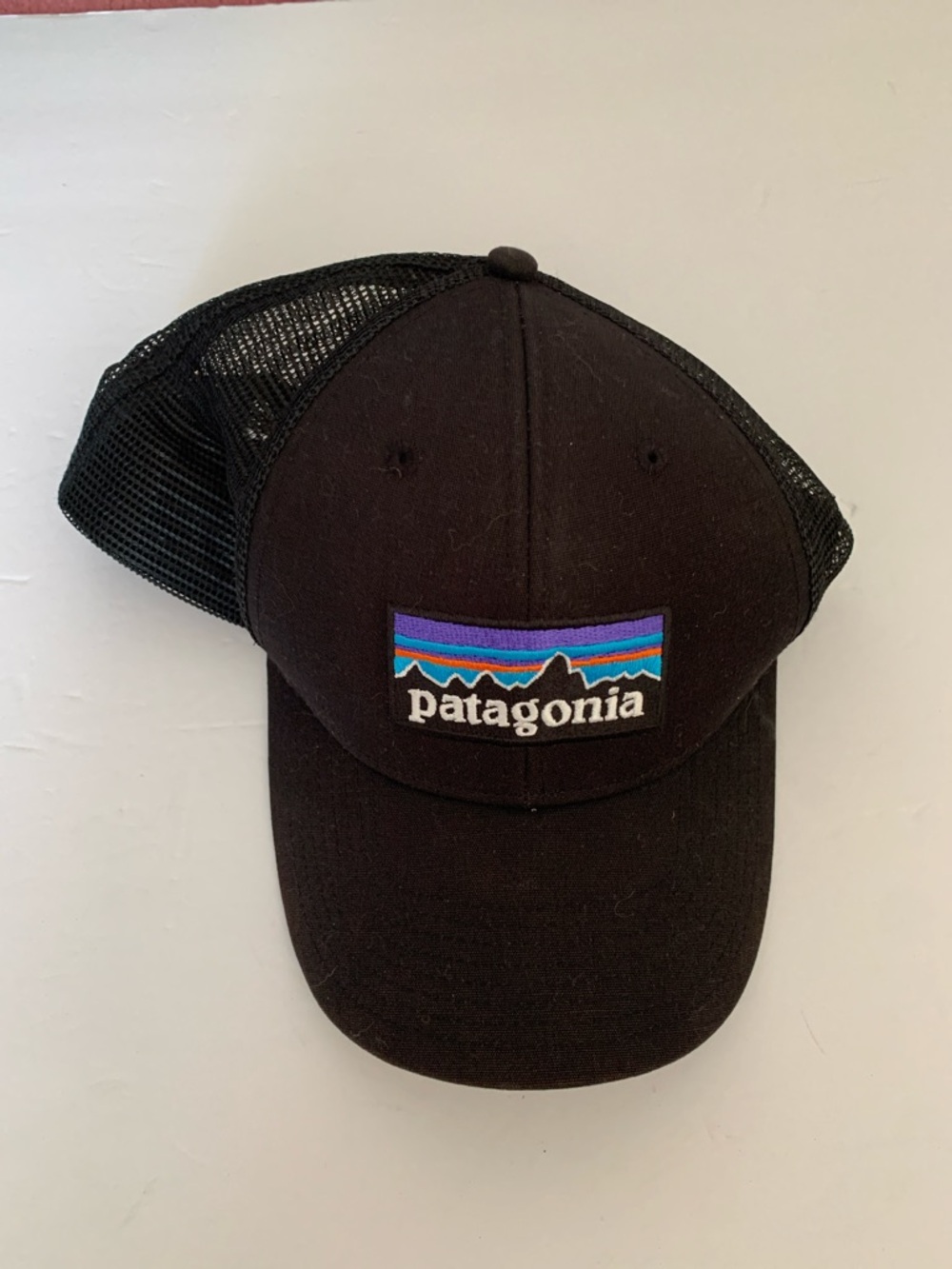 Patagonia Logo Trucker Hat
